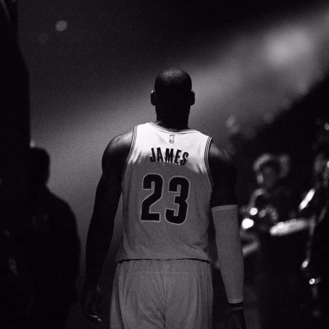 的可解释报 的可解释报